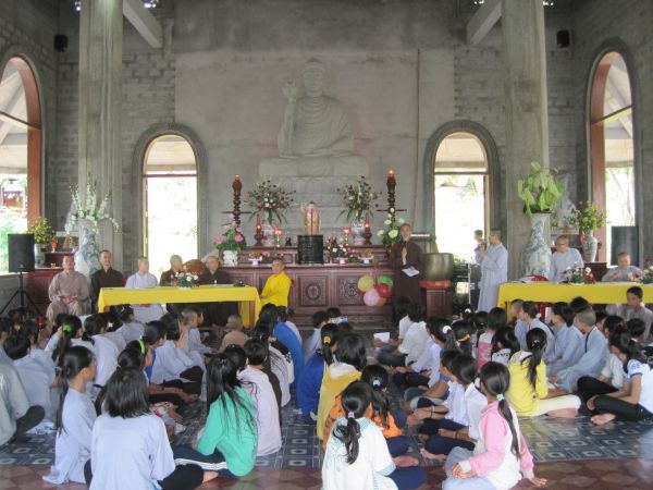 Mùa phượng tím