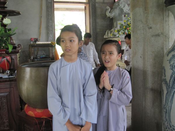 Mùa phượng tím