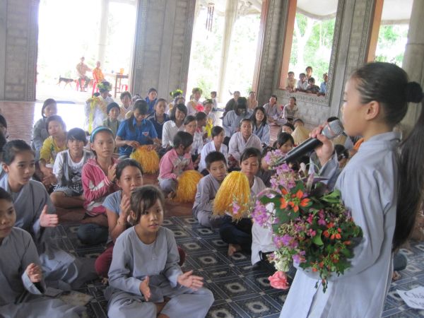 Mùa phượng tím