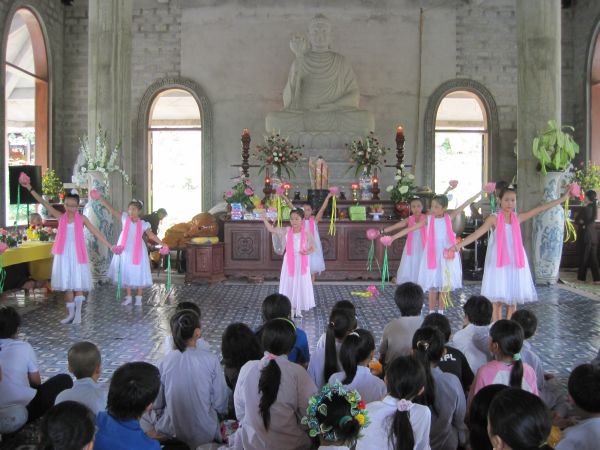 Mùa phượng tím