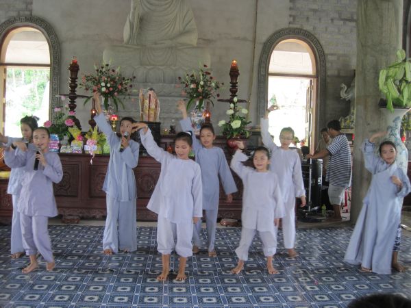 Mùa phượng tím
