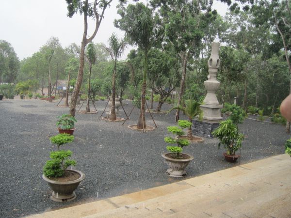 Mùa phượng tím