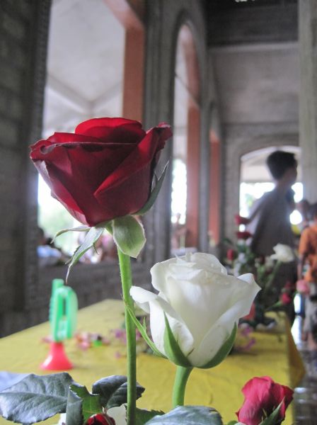 Mùa phượng tím