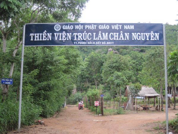 Mùa phượng tím