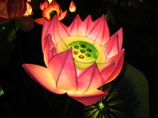 Lịch sử lễ hội đèn hoa sen (Yeondeunghoe - Lotus Lanterns) Hàn Quốc