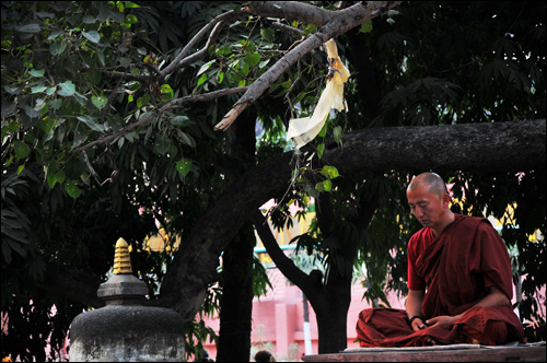 Đền Mahabodhi ở Ấn Độ