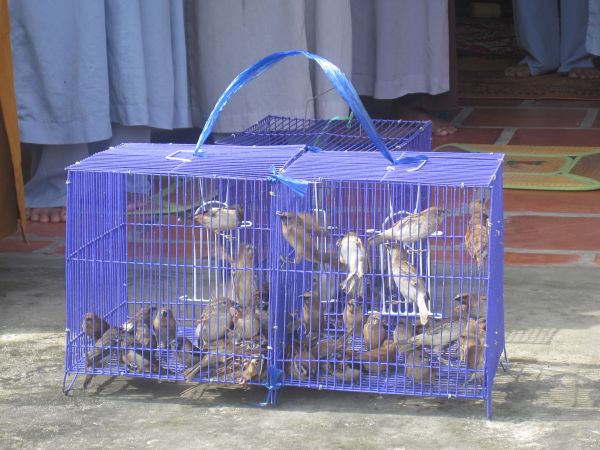 TT Ngọc Lâm, trãi lòng cùng miền Trung ruột thịt
