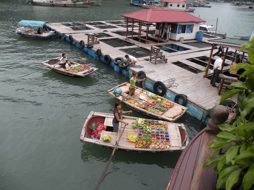 Với Những Tấm Lòng