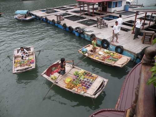 Với Những Tấm Lòng