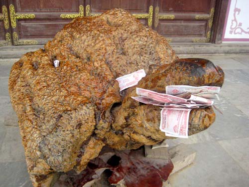 La Hán &quot;mòn chân&quot; vì... dân đi lễ