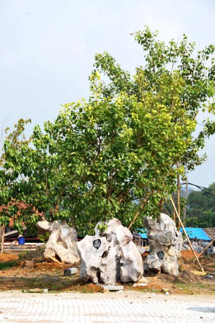 Mùng 6 tết khai hội ngôi chùa có 12 kỷ lục Việt Nam: Bái Đính