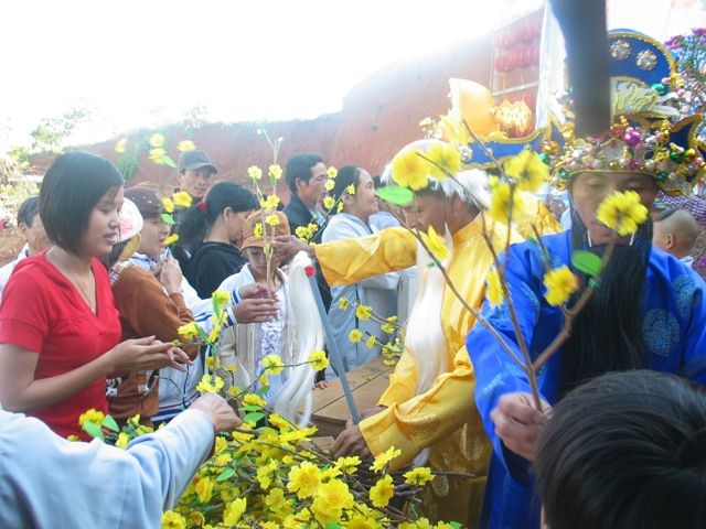 Xuân về trên cao nguyên