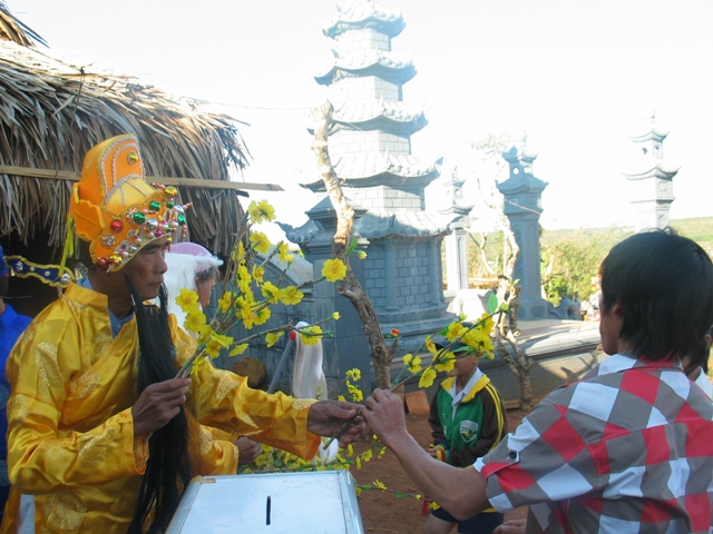 Xuân về trên cao nguyên