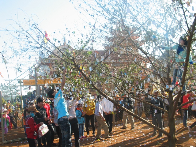 Xuân về trên cao nguyên