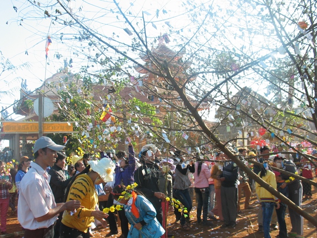 Xuân về trên cao nguyên