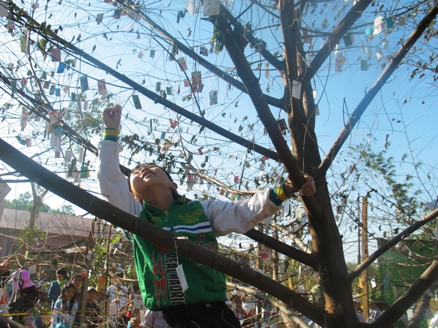 Xuân về trên cao nguyên