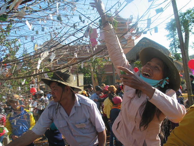 Xuân về trên cao nguyên