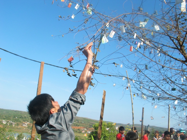 Xuân về trên cao nguyên