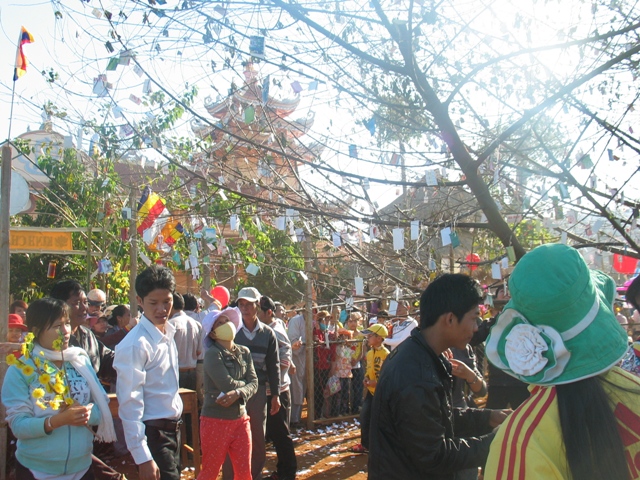 Xuân về trên cao nguyên