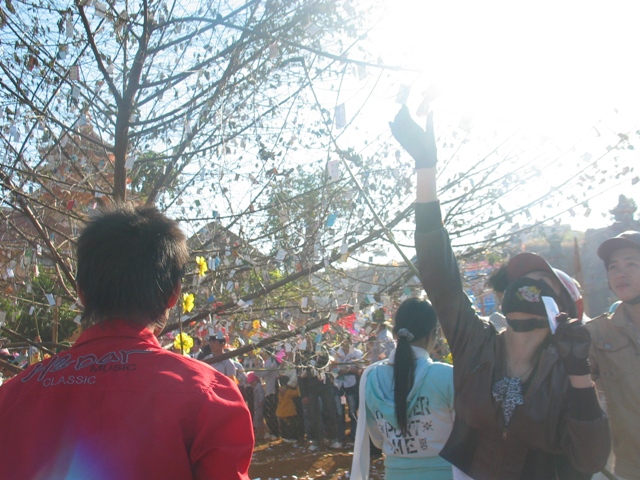 Xuân về trên cao nguyên