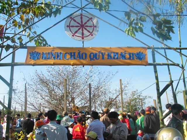 Xuân về trên cao nguyên