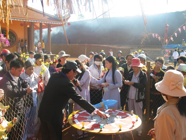 Xuân về trên cao nguyên