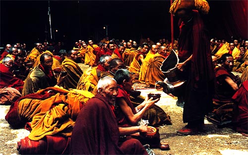 Tây Tạng hoang dại và quyến rũ