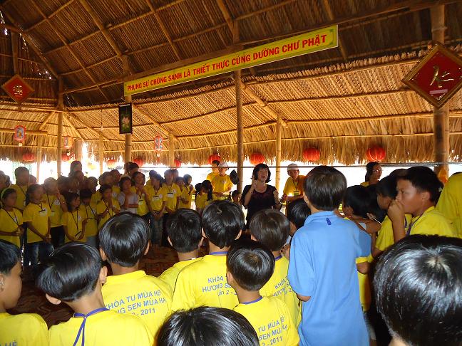 Những cánh sen hồng thắm