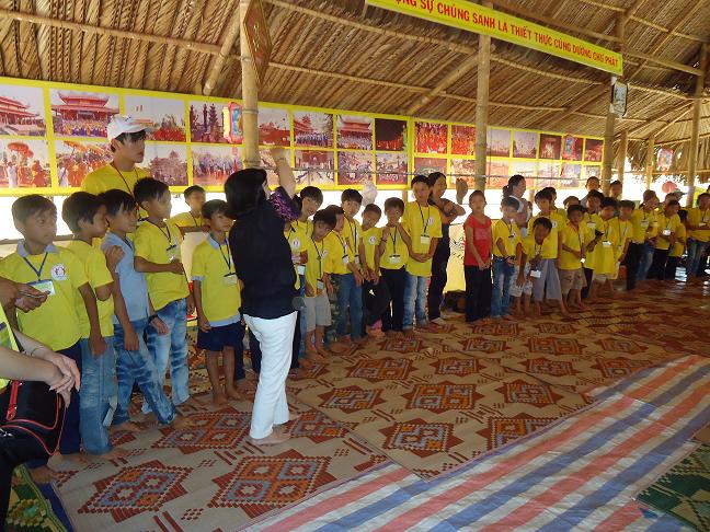 Những cánh sen hồng thắm