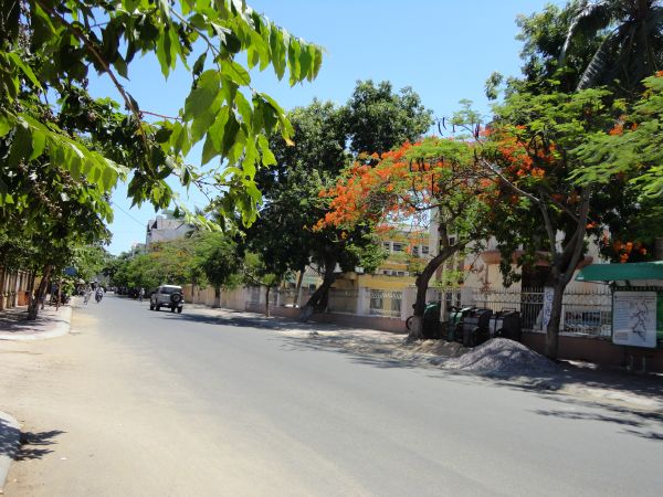 Trải nghiệm trước khóa tu mùa hè tại chùa Long Khánh – Bình Định