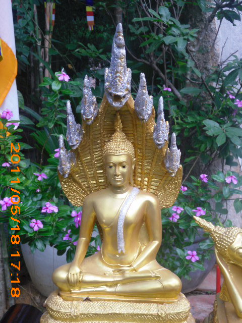 Chùm ảnh: Lễ hội cúng đèn rằm tháng 4 tại thiền viện Phước Sơn