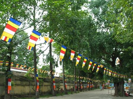 Đồng Nai: Chuẩn bị đón mừng Phật đản PL 2555 tại thành phố Biên Hòa