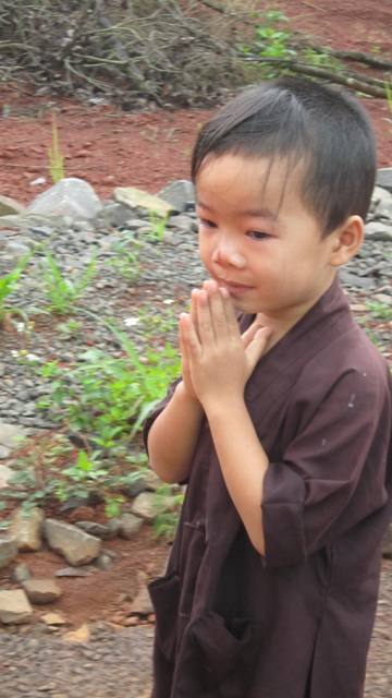 Nhịp đập “Búp sen non”