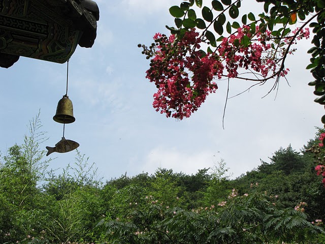 Đại Nguyên Tự, Hàn Quốc nơi tìm hiểu Mật Tông