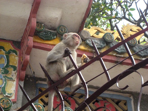 Về Vũng Tàu thăm Phủ Thạch Hầu