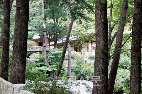 Lãnh đạo các Tôn giáo Hàn Quốc một chuyến thăm Bắc Hàn