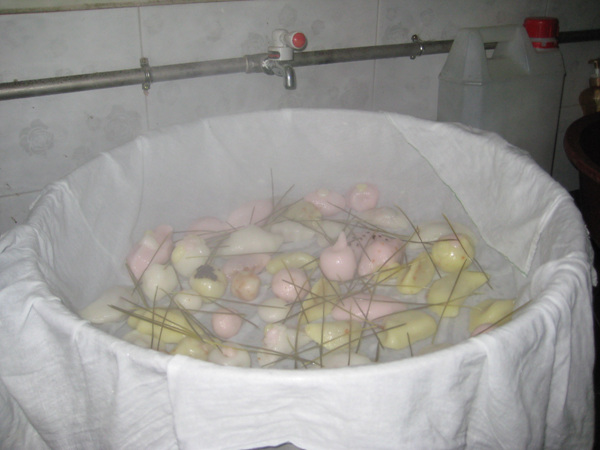 Chùa Hoằng Pháp, Hàn Quốc &amp; tổ chức sự kiện văn hóa cho khách ngoại quốc