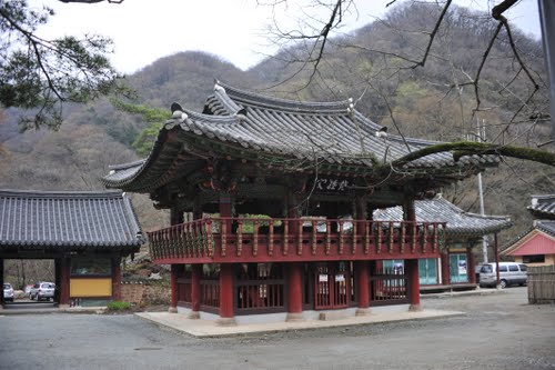 Bạch Dương Cổ Tự (백양사 -白羊寺) với núi rừng đẹp