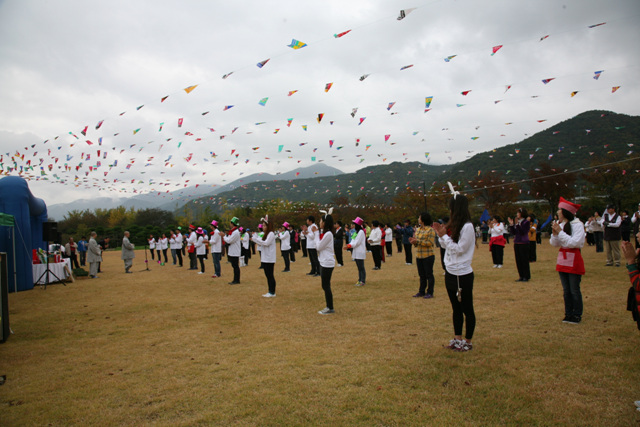 Sinh hoạt văn nghệ, văn hoá thể thao tại Hoằng Pháp Tự, Hàn Quốc