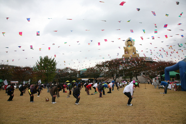 Sinh hoạt văn nghệ, văn hoá thể thao tại Hoằng Pháp Tự, Hàn Quốc