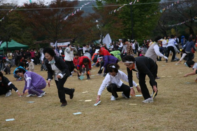 Sinh hoạt văn nghệ, văn hoá thể thao tại Hoằng Pháp Tự, Hàn Quốc