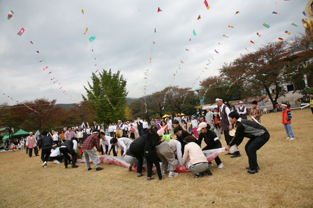 Sinh hoạt văn nghệ, văn hoá thể thao tại Hoằng Pháp Tự, Hàn Quốc