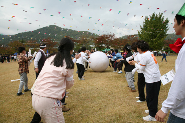 Sinh hoạt văn nghệ, văn hoá thể thao tại Hoằng Pháp Tự, Hàn Quốc