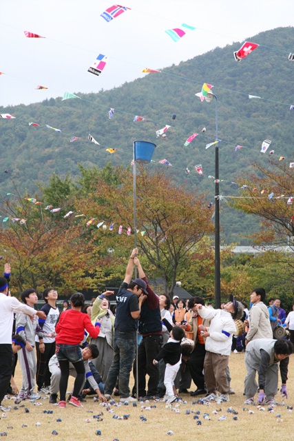 Sinh hoạt văn nghệ, văn hoá thể thao tại Hoằng Pháp Tự, Hàn Quốc