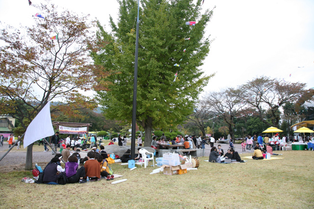 Sinh hoạt văn nghệ, văn hoá thể thao tại Hoằng Pháp Tự, Hàn Quốc