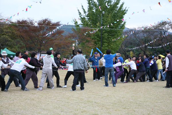 Sinh hoạt văn nghệ, văn hoá thể thao tại Hoằng Pháp Tự, Hàn Quốc
