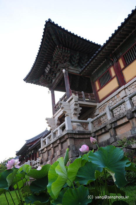 Thăm chùa Bulguksa - Hàn Quốc