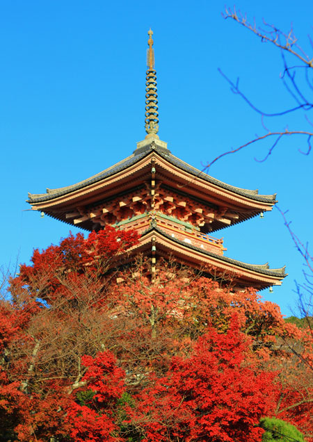 Kyoto - cố đô muôn sắc vào cuối thu