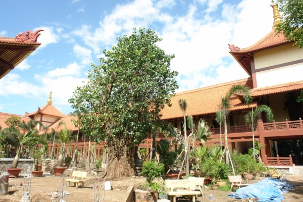 Bản Tin: Về Việc Thay Đổi Địa Điểm Truyền Giới - Tăng Đại Giới Đàn Hành Trụ
