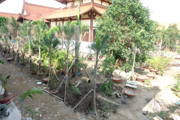 Bản Tin: Về Việc Thay Đổi Địa Điểm Truyền Giới - Tăng Đại Giới Đàn Hành Trụ